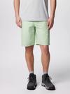 Men's Washed Out™ Shorts Sage Leaf