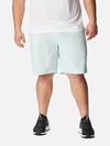 Men's Washed Out™ Shorts - Big Icy Morn