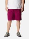 Men's Washed Out™ Shorts - Big Red Onion