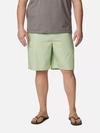 Men's Washed Out™ Shorts - Big Sage Leaf