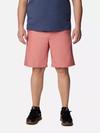 Men's Washed Out™ Shorts - Big Pink Agave