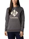 Women's Columbia Trek™ Graphic Hoodie Charcoal Heather, Stacked Gem