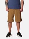 Men's Silver Ridge™ Utility Cargo Shorts - Big Delta