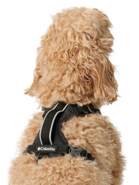 Silver Ridge™ Dog Harness Black