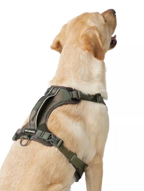 Silver Ridge™ Dog Harness Camo